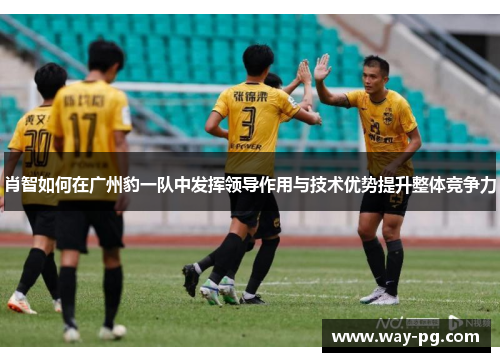 肖智如何在广州豹一队中发挥领导作用与技术优势提升整体竞争力