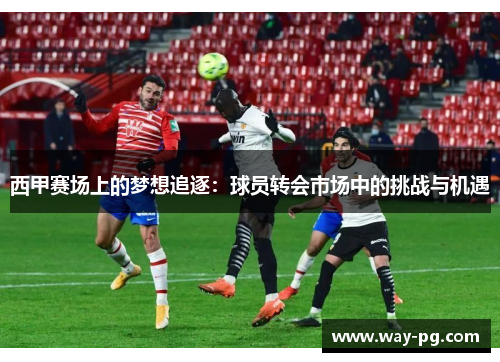 西甲赛场上的梦想追逐：球员转会市场中的挑战与机遇