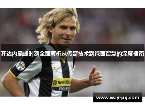 齐达内巅峰时刻全面解析从传奇技术到绿茵智慧的深度指南