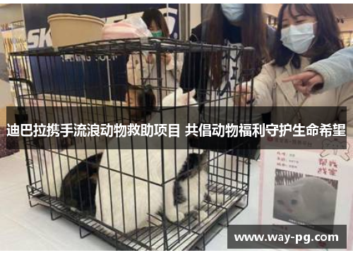 迪巴拉携手流浪动物救助项目 共倡动物福利守护生命希望