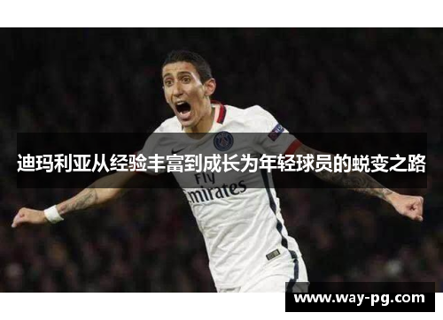 迪玛利亚从经验丰富到成长为年轻球员的蜕变之路
