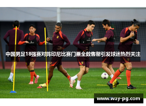 中国男足18强赛对阵印尼比赛门票全数售罄引发球迷热烈关注 中国男足18强赛对阵印尼比赛门票全数售罄引发球迷热烈关注
