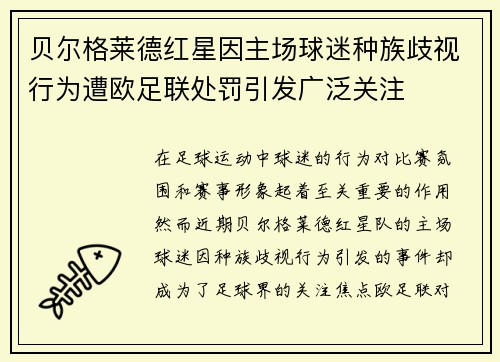 贝尔格莱德红星因主场球迷种族歧视行为遭欧足联处罚引发广泛关注